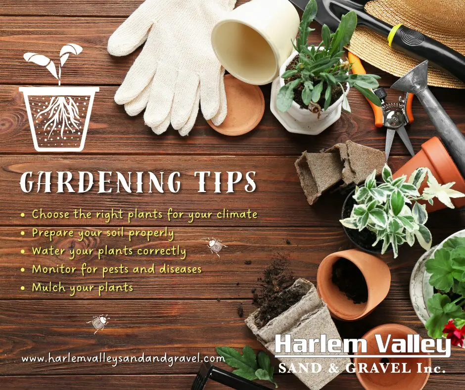 Gardening Tips