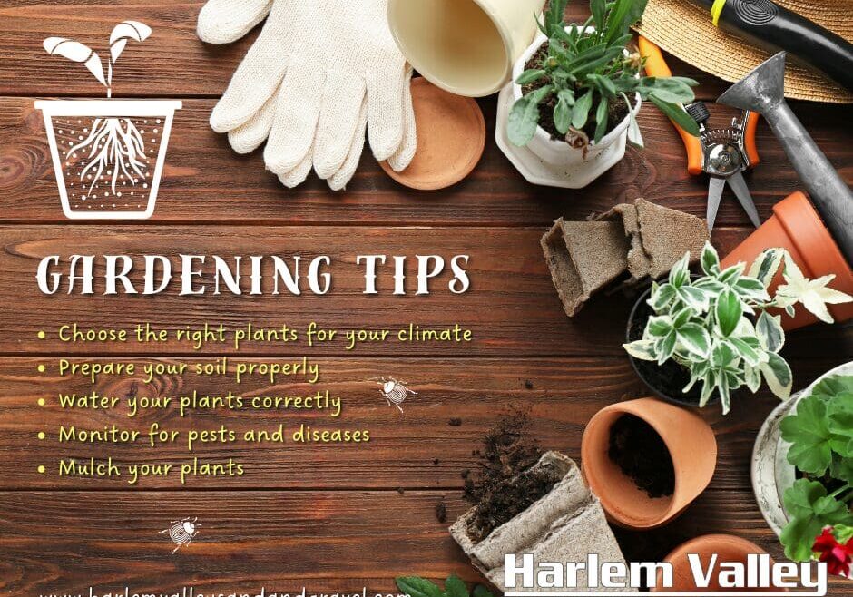 Gardening Tips